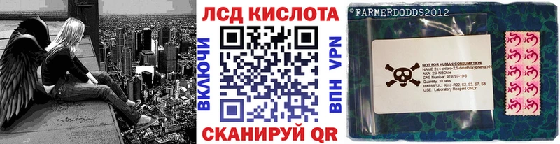 hydra   Каргат  darknet клад  Марки 25I-NBOMe 1,8мг 